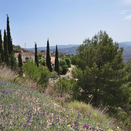 Boutique B&B El Refugio Alcaucín Exteriér fotografie